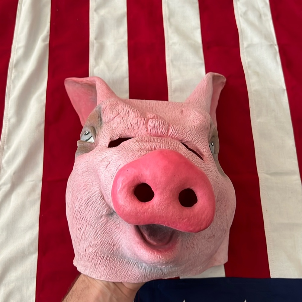 Pig mask 🐽